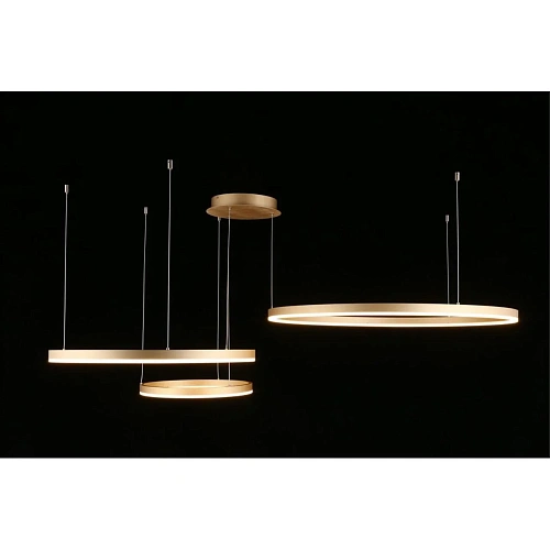 Люстра подвесная Aployt Terenia APL.024.03.136 Люстра подвесная Aployt Terenia APL.024.03.136