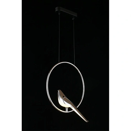 Светильник подвесной Aployt Astor APL.822.16.10 Светильник подвесной Aployt Astor APL.822.16.10