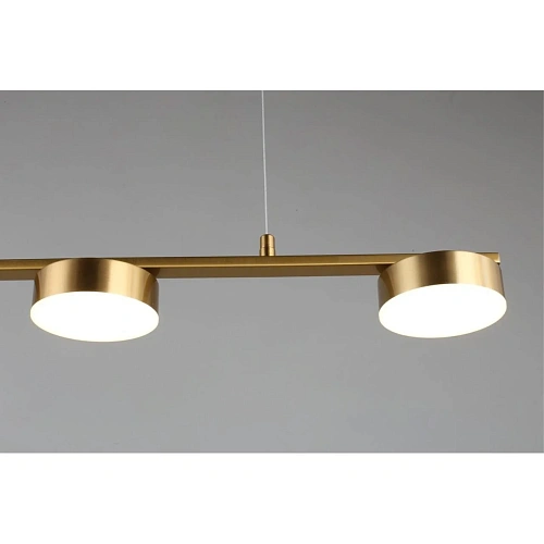 Люстра подвесная Aployt Usia APL.047.13.35 Люстра подвесная Aployt Usia APL.047.13.35