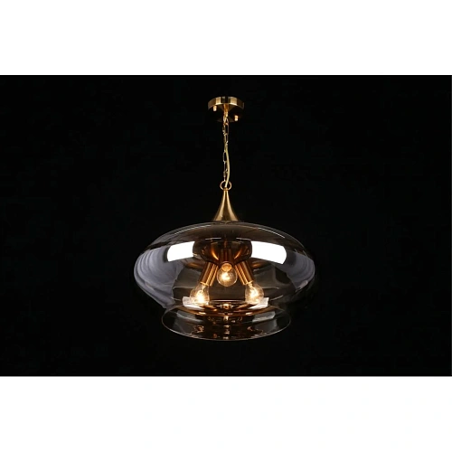 Светильник подвесной Aployt Franko APL.601.16.03 Светильник подвесной Aployt Franko APL.601.16.03