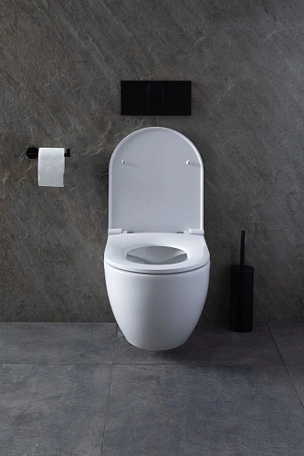 Комплект унитаза Allen Brau Reality 4.32006.20/8.9466.0.000.000.1 (00316510) с инсталляцией, белый глянец Комплект унитаза Allen Brau Reality 4.32006.20/8.9466.0.000.000.1 (00316510) с инсталляцией, белый глянец