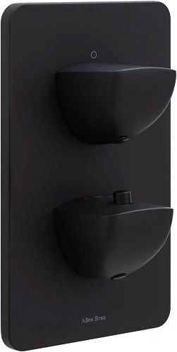 Смеситель для душа Allen Brau Infinity 5.21116-31 (с внутренней частью, 1 выход) черный матовый Смеситель для душа Allen Brau Infinity 5.21116-31 (с внутренней частью, 1 выход) черный матовый