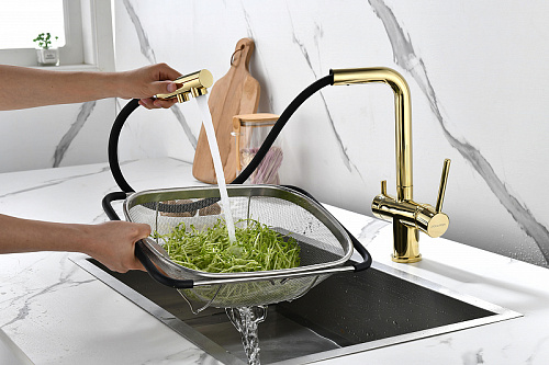 Смеситель для кухни Paulmark SERPENTINE золото Se213222-G Смеситель для кухни Paulmark SERPENTINE золото Se213222-G