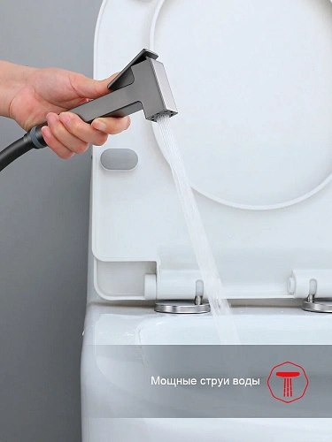 Гигиенический душ Raglo R02.54.09 встраиваемый, графит Гигиенический душ Raglo R02.54.09 встраиваемый, графит