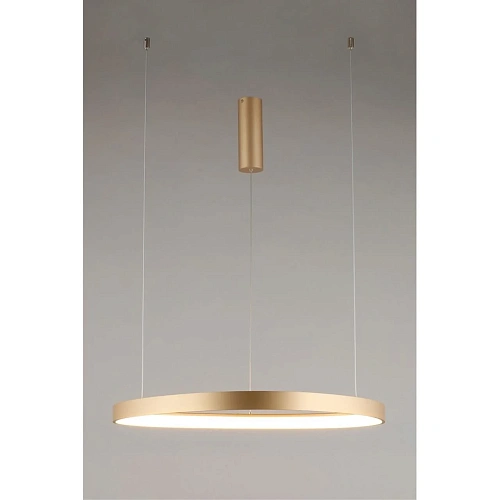 Люстра подвесная Aployt Zula APL.022.03.48 Люстра подвесная Aployt Zula APL.022.03.48