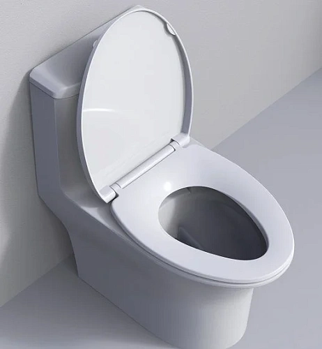 Крышка-сиденье ARROW PG006-ZPA белый Крышка-сиденье ARROW PG006-ZPA белый