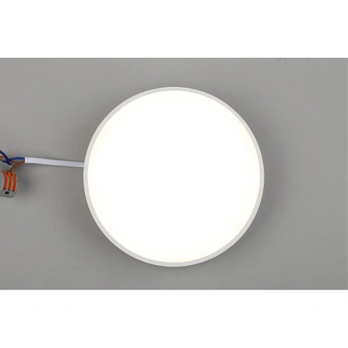 Светильник настенно-потолочный Aployt Evon APL.0114.09.18 Светильник настенно-потолочный Aployt Evon APL.0114.09.18