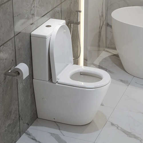 Унитаз напольный BelBagno FLAY-TOR BB2149CP-TOR/BB2149T/BB865SC безободковый с сиденьем Унитаз напольный BelBagno FLAY-TOR BB2149CP-TOR/BB2149T/BB865SC безободковый с сиденьем