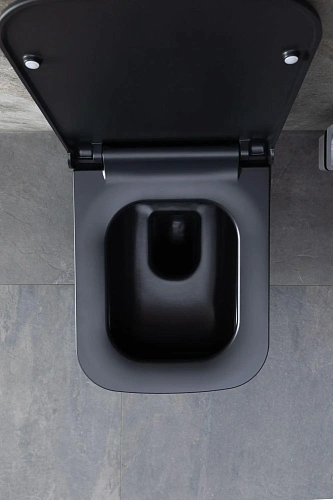 Унитаз подвесной Allen Brau Infinity 4.21011.31 с крышкой, черный матовый Унитаз подвесной Allen Brau Infinity 4.21011.31 с крышкой, черный матовый