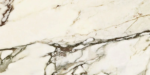 Керамогранит Neodom Matt Calacatta Venato Satin 60x120 N20374 Керамогранит Neodom Matt Calacatta Venato Satin 60x120 N20374