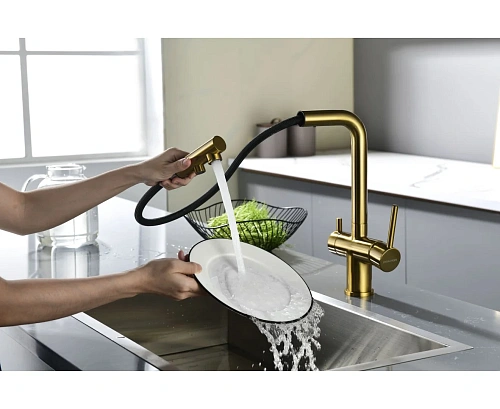 Смеситель для кухни Paulmark SERPENTINE брашированное золото Se213222-BG Смеситель для кухни Paulmark SERPENTINE брашированное золото Se213222-BG