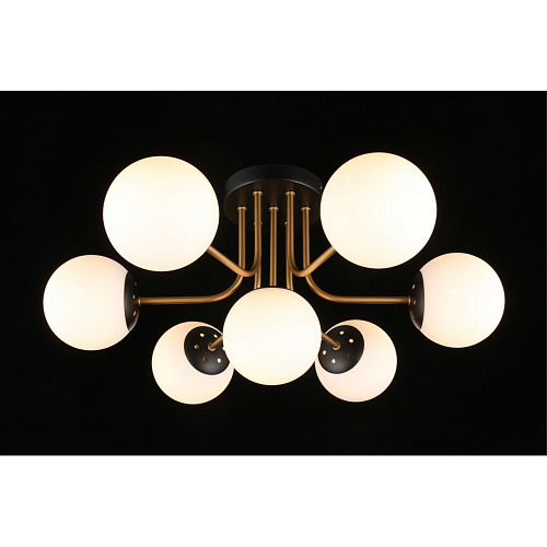 Люстра потолочная Aployt Ewka APL.906.17.07 Люстра потолочная Aployt Ewka APL.906.17.07