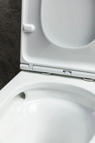 Чаша напольного унитаза Allen Brau Priority Tornado 4.31006.20 с крышкой, белый глянец Чаша напольного унитаза Allen Brau Priority Tornado 4.31006.20 с крышкой, белый глянец