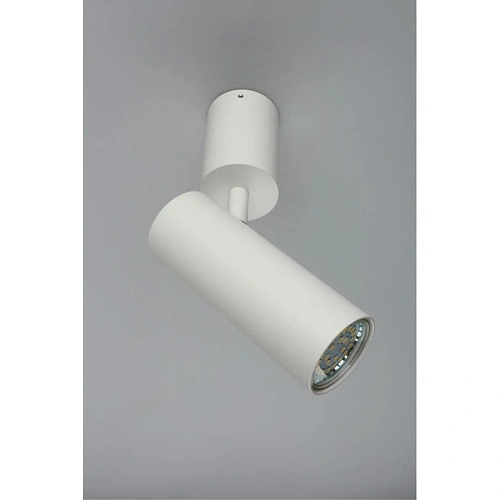 Светильник настенно-потолочный Aployt Berenis APL.007.02.01 Светильник настенно-потолочный Aployt Berenis APL.007.02.01