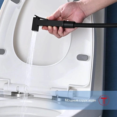 Гигиенический душ Raglo R01.51.06, черный Гигиенический душ Raglo R01.51.06, черный