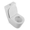 Унитаз напольный BelBagno FLAY-TOR BB2149CP-TOR/BB2149T/BB089SC с сиденьем Унитаз напольный BelBagno FLAY-TOR BB2149CP-TOR/BB2149T/BB089SC с сиденьем