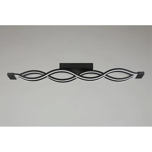 Светильник настенно-потолочный Aployt Nadayn APL.002.17.72 Светильник настенно-потолочный Aployt Nadayn APL.002.17.72