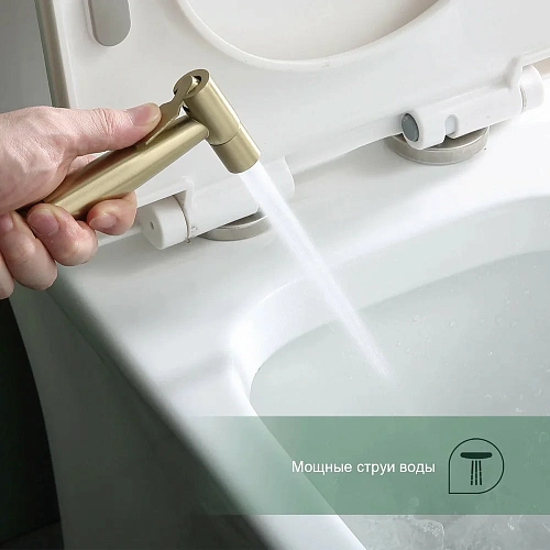 Гигиенический душ Splenka S221.52.03 встраиваемый, золотой сатин Гигиенический душ Splenka S221.52.03 встраиваемый, золотой сатин