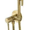 Гигиенический душ Wonzon & Woghand TOR брашированное золото (WW-88829073-BG) Гигиенический душ Wonzon & Woghand TOR брашированное золото (WW-88829073-BG)