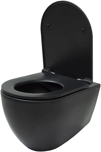Унитаз подвесной Allen Brau Reality 4.32006.31 с крышкой, черный матовый Унитаз подвесной Allen Brau Reality 4.32006.31 с крышкой, черный матовый