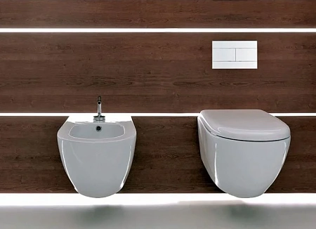 Клавиша смыва Jacob Delafon белая, глянцевая, пластик, механическая E4316-00 Клавиша смыва Jacob Delafon белая, глянцевая, пластик, механическая E4316-00