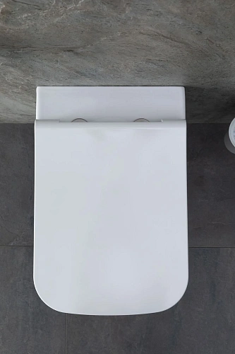 Комплект унитаза Allen Brau Infinity 4.21011.20/8.9466.0.000.000.1 (00316506) с инсталляцией, белый глянец Комплект унитаза Allen Brau Infinity 4.21011.20/8.9466.0.000.000.1 (00316506) с инсталляцией, белый глянец