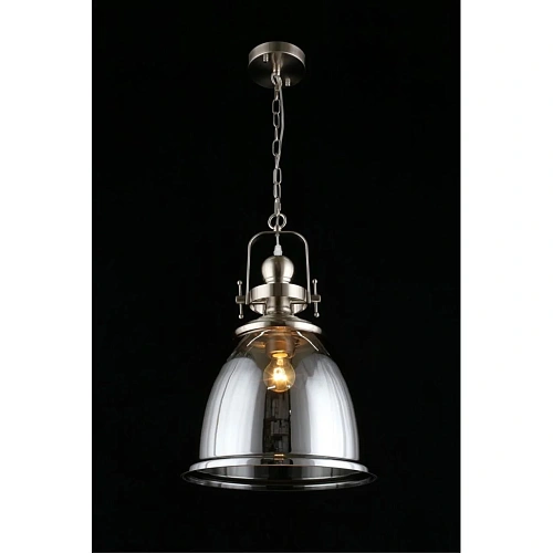 Светильник подвесной Aployt Darunia APL.629.06.01 Светильник подвесной Aployt Darunia APL.629.06.01