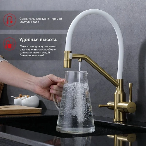 Смеситель для кухни Raglo R81.62.03 с гибким изливом с подключением к фильтру, золотой сатин Смеситель для кухни Raglo R81.62.03 с гибким изливом с подключением к фильтру, золотой сатин