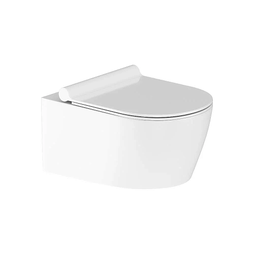 Унитаз подвесной Damixa Jupiter DX77C1700SC безободковый с сиденьем микролифт Унитаз подвесной Damixa Jupiter DX77C1700SC безободковый с сиденьем микролифт