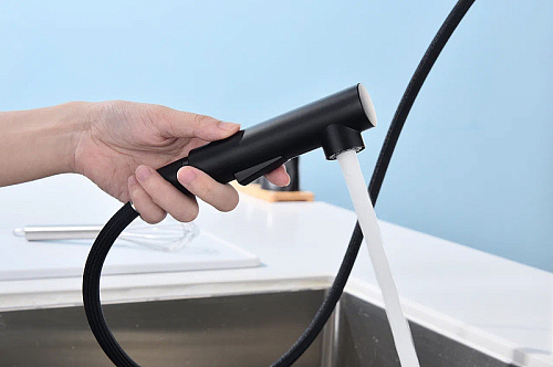 Смеситель для кухни Paulmark NEO антрацит Ne214419-AN Смеситель для кухни Paulmark NEO антрацит Ne214419-AN