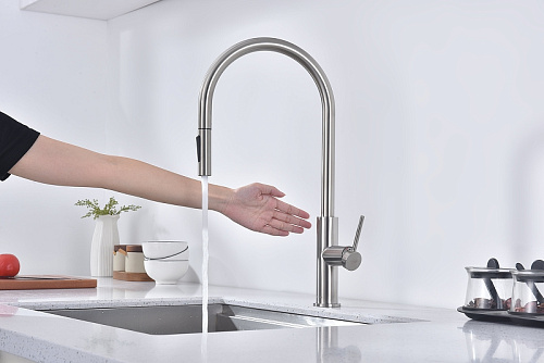 Смеситель для кухни Paulmark Senso брашированная сталь Se215180-BS Смеситель для кухни Paulmark Senso брашированная сталь Se215180-BS