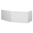 Экран для ванны фронтальный Riho Geta/Romeo P087N0500000000 160 см Экран для ванны фронтальный Riho Geta/Romeo P087N0500000000 160 см