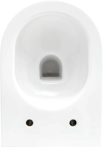 Комплект унитаза Allen Brau Reality 4.32006.20/8.9466.0.000.000.1 (00316510) с инсталляцией, белый глянец Комплект унитаза Allen Brau Reality 4.32006.20/8.9466.0.000.000.1 (00316510) с инсталляцией, белый глянец