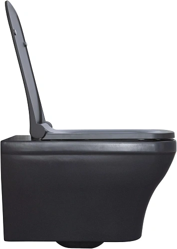 Унитаз подвесной Allen Brau Infinity 4.21011.AN с крышкой, антрацит Унитаз подвесной Allen Brau Infinity 4.21011.AN с крышкой, антрацит