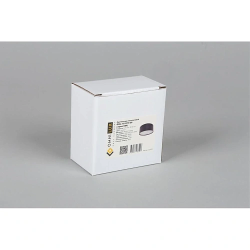 Светильник встраиваемый-накладной Omnilux Abano OML-103319-06 Светильник встраиваемый-накладной Omnilux Abano OML-103319-06