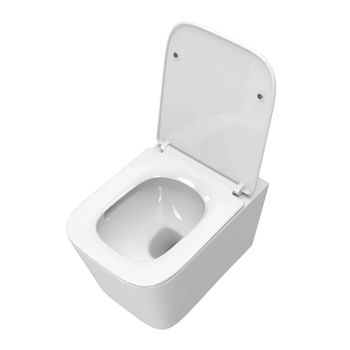 Унитаз подвесной BelBagno DUE-TOR BB5171CH-TOR/SC безободковый c сиденьем Унитаз подвесной BelBagno DUE-TOR BB5171CH-TOR/SC безободковый c сиденьем