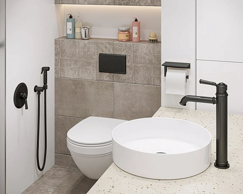 Гигиенический душ Timo Arisa 5309/03SM черный Гигиенический душ Timo Arisa 5309/03SM черный