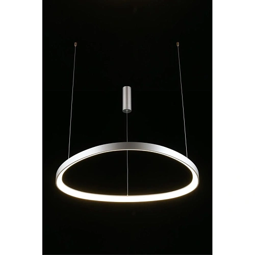 Люстра подвесная Aployt Zula APL.022.13.60 Люстра подвесная Aployt Zula APL.022.13.60