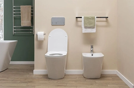 Биде напольное Aquanet Atago 2.0 B1 LX-1057A Биде напольное Aquanet Atago 2.0 B1 LX-1057A