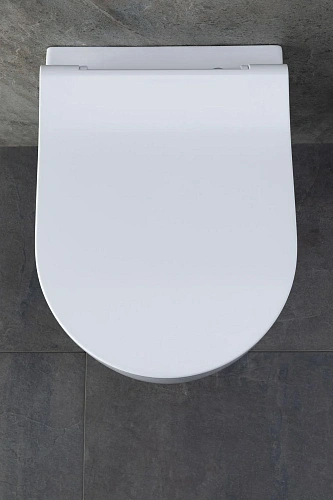 Комплект унитаза Allen Brau Priority 4.31002.20/8.9466.0.000.000.1 (00316509) с инсталляцией, белый глянец Комплект унитаза Allen Brau Priority 4.31002.20/8.9466.0.000.000.1 (00316509) с инсталляцией, белый глянец