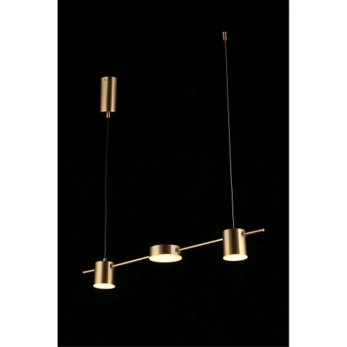 Люстра подвесная Aployt Frania APL.017.13.18 Люстра подвесная Aployt Frania APL.017.13.18