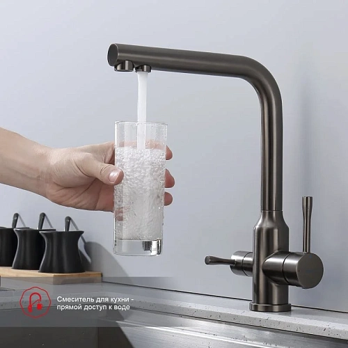 Смеситель для кухни Raglo R81.61.09 с подключением к фильтру, графит Смеситель для кухни Raglo R81.61.09 с подключением к фильтру, графит