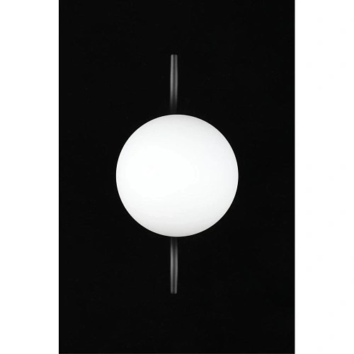 Светильник настенный (Бра) Aployt Jagna APL.312.01.01 Светильник настенный (Бра) Aployt Jagna APL.312.01.01