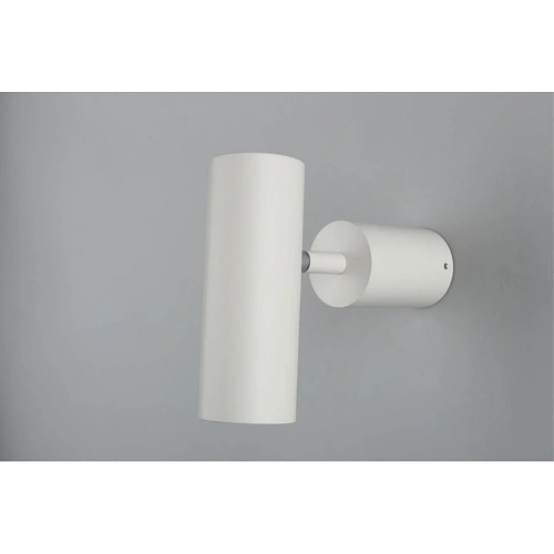 Светильник настенно-потолочный Aployt Berenis APL.007.02.01 Светильник настенно-потолочный Aployt Berenis APL.007.02.01