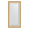 Зеркало в багетной раме Evoform Exclusive BY 1151 56 x 116 см, травленое золото Зеркало в багетной раме Evoform Exclusive BY 1151 56 x 116 см, травленое золото