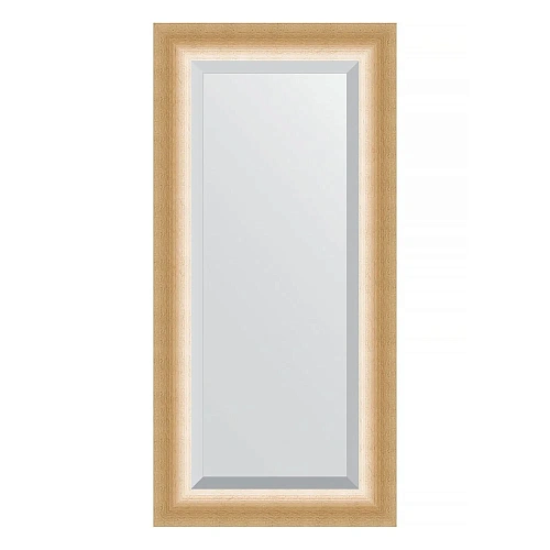 Зеркало в багетной раме Evoform Exclusive BY 1151 56 x 116 см, травленое золото Зеркало в багетной раме Evoform Exclusive BY 1151 56 x 116 см, травленое золото