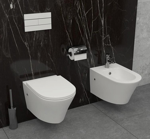 Унитаз подвесной Jacob Delafon Rodin EDY102-00 безободковый без сиденья Унитаз подвесной Jacob Delafon Rodin EDY102-00 безободковый без сиденья