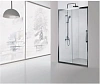 Душевая дверь Aquanet Delta NPE6121 160, прозрачное стекло NPE6121 1600
