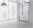 Душевая дверь Aquanet Delta NPE6121 160, прозрачное стекло NPE6121 1600 Душевая дверь Aquanet Delta NPE6121 160, прозрачное стекло NPE6121 1600