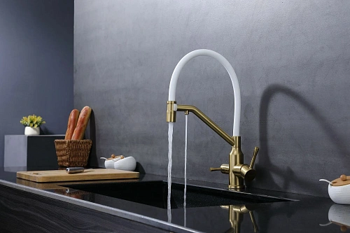 Смеситель для кухни Raglo R81.62.03 с гибким изливом с подключением к фильтру, золотой сатин Смеситель для кухни Raglo R81.62.03 с гибким изливом с подключением к фильтру, золотой сатин